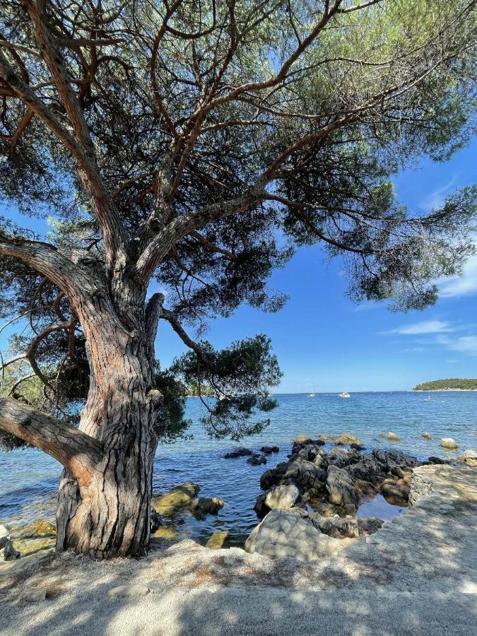 Clorinda Sea View Free Parking Apartamento Rovinj Exterior foto